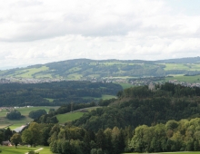 65-IMG_8726